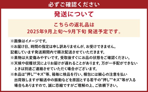 【先行予約】岡山県産 瀬戸ジャイアンツ2房（1房480ｇ以上）約1kg 化粧箱入り