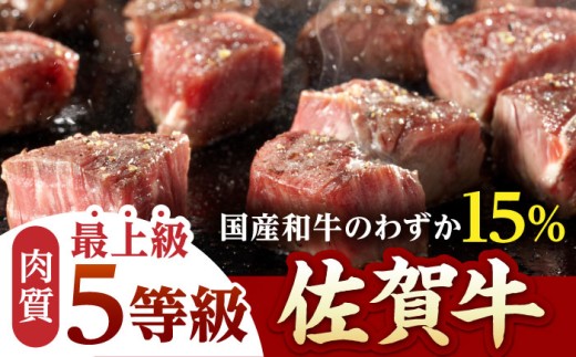 佐賀牛 A5 ヒレ サイコロステーキ 500g ( 250g×2パック ) 牛肉 ヒレステーキ 希少部位 フィレ フィレステーキ