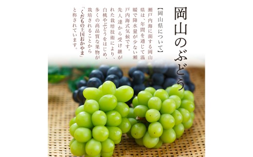 【先行予約】岡山県産 瀬戸ジャイアンツ2房（1房480ｇ以上）約1kg 化粧箱入り