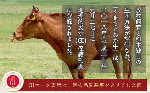【GI認証】くまもと あか牛 ハンバーグ《ご家庭用》6個