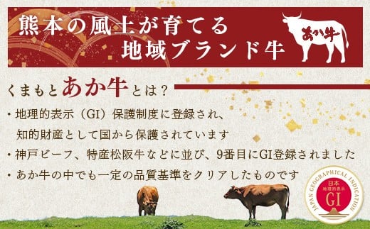 【GI認証】くまもと あか牛 ハンバーグ《ご家庭用》6個
