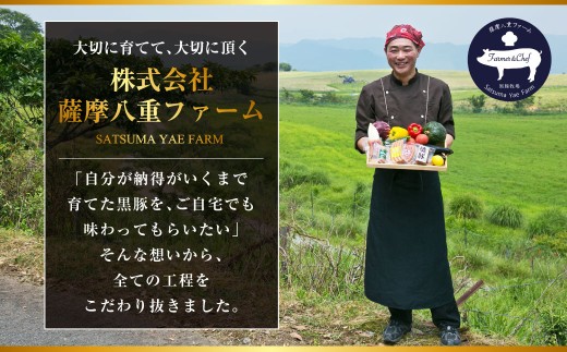 AS-2041 かごしま 黒豚ロース味噌漬け 400g (100g×4枚セット)