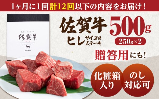 佐賀牛 A5 ヒレ サイコロステーキ 500g ( 250g×2パック ) 牛肉 ヒレステーキ 希少部位 フィレ フィレステーキ