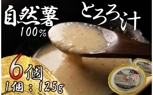 【 敬老の日 9月11日～15日にお届け ！】 とろろ 冷凍 125g × 6個 自然薯 100％ 小分け セット とろろ汁 長芋 山芋 お手軽 アンチエイジング 農林水産省賞 受賞 ご飯 お供 そば つけ汁 健康 栄養 夏 バテ とろろ芋 個包装 便利 簡単 静岡県 藤枝市