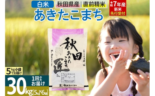 【白米】＜令和7年産 新米予約＞ 秋田県産 あきたこまち 30kg (5kg×6袋) 30キロ お米 新米