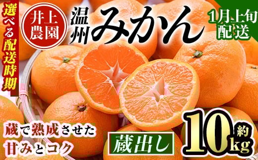 ＜1月上旬より順次発送予定＞大分県宇佐市産 蔵出し みかん(約10kg)ミカン 蜜柑 柑橘 フルーツ 果物 くだもの 果実 国産 熟成【103690600】【井上農園】