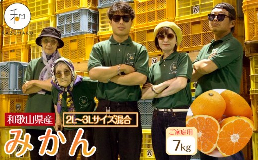 家庭用 森本農園の手選別 大玉みかん 約7kg 和歌山県産 2L・3Lサイズ混合 ［北海道・沖縄・離島配送不可］［2025年11月上旬から順次発送］［RN81］