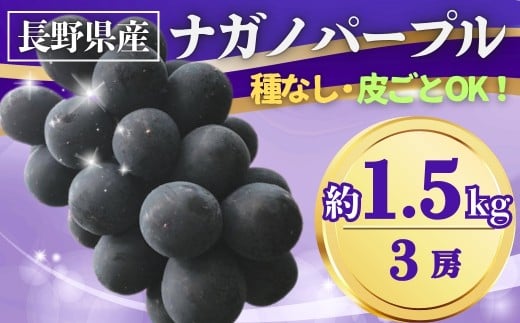 【2025年先行予約】ぶどう ナガノパープル 約1.5kg(3房)｜ 果物 フルーツ 黒ぶどう 葡萄 ブドウ 種無し 種なし 皮ごと 千曲市 長野県 信州