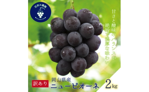 岡山　花笑み農園の『訳ありニューピオーネ』2kg　WP-2＜2025年9月～順次発送＞_ぶどう ニューピオーネ 葡萄 ブドウ 岡山県産 果物 くだもの フルーツ 訳あり 岡山県 津山市 産直 産地直送 送料無料【1593490】 2198293 - 岡山県津山市