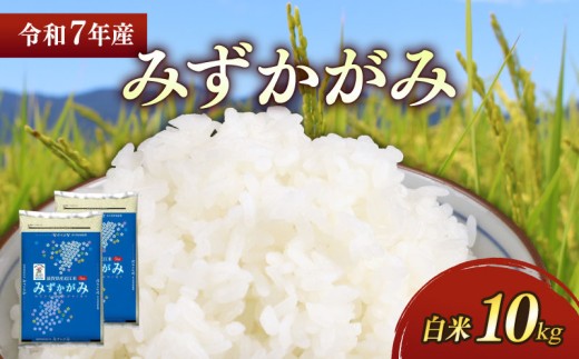 新米 令和7年 彦根産 みずかがみ 10kg(5kg×2袋)米 お米 白米 精米 こめ コメ おこめ ご飯 ごはん おすすめ みずかがみ 送料無料 滋賀 彦根 ひこね 1480347 - 滋賀県彦根市