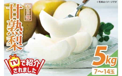 森田さんが作った☆春日部甘熟梨5kg☆（7~14玉）(BG001-1)