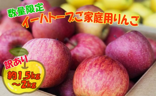 数量限定![生産者支援品]イーハトーヴご家庭用りんご 約1.5〜2kg(5〜6個) [2044]