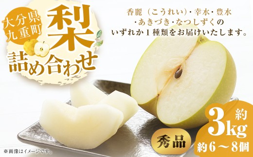【秀品】 九重町産 梨 詰め合わせ 約3kg （約6～8個） なし ナシ 香麗 こうれい 幸水 こうすい 豊水 ほうすい あきづき なつしずく 果物 くだもの フルーツ 【2025年8月上旬～9月下旬発送予定】 2175762 - 大分県九重町