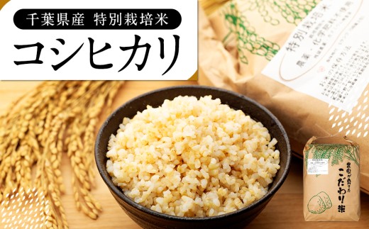 AB1-015 特別栽培米　コシヒカリ（玄米）30kg