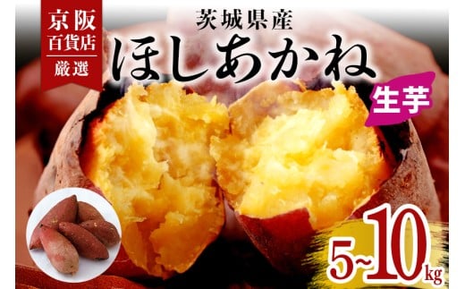 [京阪百貨店厳選]茨城県産ほしあかね 選べる 5kg 10kg [A品L〜2Lサイズ] [サイズ無選別品] 芋 さつま芋 サツマイモ さつまいも B18-SKU-003