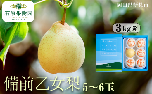備前乙女梨 (ヤーリー) 5~6玉 約3kg 【先行予約 2025年11月中旬から順次発送】 2260799 - 岡山県新見市