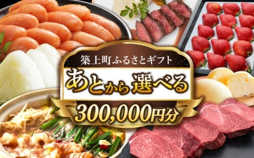 【あとから選べる】築上町ふるさとギフト 30万円分 ハンバーグ 餅 米 明太子 博多和牛 [ABZY015] 300000円