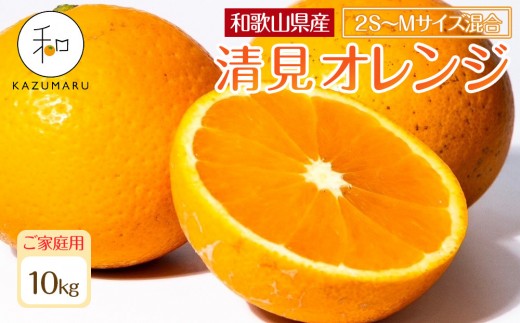 家庭用 森本農園の手選別 小粒清見オレンジ 約10kg 和歌山県産 2S～Mサイズ混合 ［北海道・沖縄・離島配送不可］［2026年2月上旬から5月中旬頃順次発送予定］［RN95］