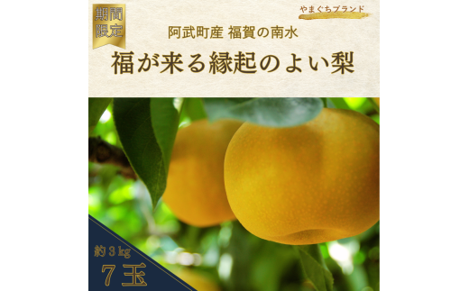 【  先行予約  】 南水梨 約3kg （7玉） 福賀産 （ 山口県 阿武町 ） 高糖度 ＆ シャキシャキ食感 やまぐちブランド認定の旬の味 梨 フルーツ 果物 デザート 【お届け：2025年9月20日頃～順次出荷】 数量限定 782575 - 山口県阿武町