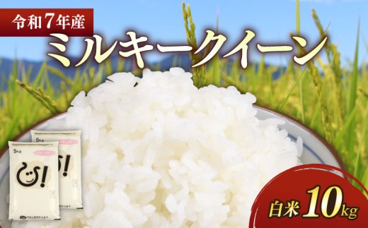 新米 令和7年 彦根産 ミルキークィーン 10kg(5kg×2袋) お米 白米 米 精米 こめ コメ おこめ ご飯 ごはん おすすめ 送料無料 滋賀 彦根 ひこね 1480346 - 滋賀県彦根市