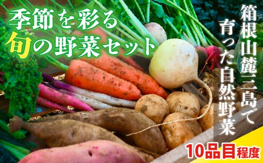 季節を彩る旬の野菜セット （農薬・化学肥料不使用） 野菜 やさい サラダ 旬のおまかせ 季節 詰合せ 新鮮 産地直送 ふるさと納税 静岡県 三島市  734130 - 静岡県三島市