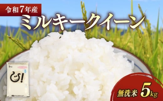 ★無洗米★ 新米 令和7年 ミルキークイーン 5kg 彦根産 滋賀県こだわり農産物 米 お米 おこめ こめ コメ 白米 無洗米 米5kg ご飯 飯 ごはん 滋賀県 彦根 ひこね 2261134 - 滋賀県彦根市
