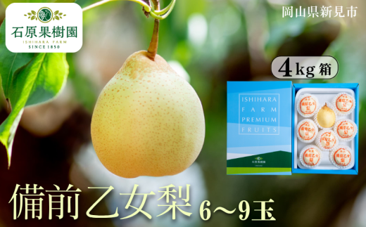 備前乙女梨 (ヤーリー) 6~9玉 約4kg 【先行予約 2025年11月中旬から順次発送】 2260800 - 岡山県新見市