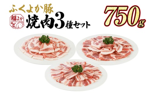 豚肉 焼肉 ふくよか豚 焼肉3種セット 750g ロース 肩ロース バラ ロース肉 肩ロース肉 バラ肉 小分け ブタ肉 ぶた肉 生姜焼き 豚丼 冷凍 福岡県 福岡 九州 グルメ お取り寄せ 1424183 - 福岡県田川市