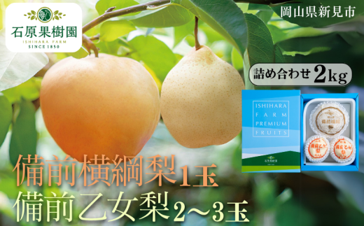 備前横綱梨（あたご梨）1玉（1玉約1～1.4kg） 備前乙女梨（ヤーリー (鴨梨)） 2～3玉 詰め合わせ 約2kg【先行予約 2025年11月中旬から順次発送】