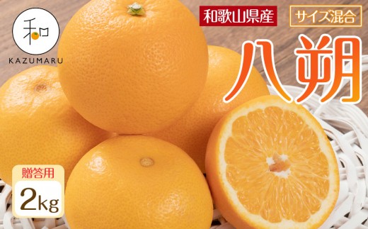 贈答用 森本農園の手選別 八朔 約2kg 和歌山県産 サイズ混合 ［北海道・沖縄・離島配送不可］［2026年1月中旬から2月中旬頃順次発送予定］［RN122］ 2204036 - 和歌山県海南市