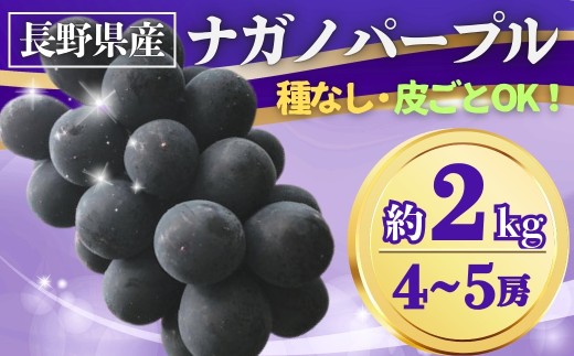 【2025年先行予約】ぶどう ナガノパープル 約2kg(4~5房)｜ 果物 フルーツ 黒ぶどう 葡萄 ブドウ 種無し 種なし 皮ごと 千曲市 長野県 信州