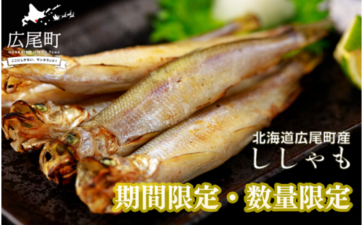 【期間限定価格・数量限定】岡嶋水産　生乾ししゃも特大オス２L２０尾(C0035) 2204916 - 北海道広尾町