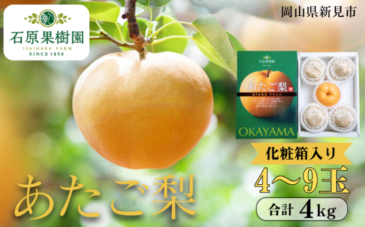 あたご梨 4~9玉 約4kg 化粧箱【先行予約 2025年11月中旬から順次発送】 2260781 - 岡山県新見市
