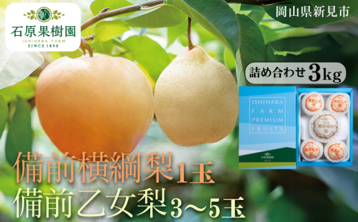 備前横綱梨（あたご梨）1玉（1玉約1～1.4kg） 備前乙女梨（ヤーリー (鴨梨)） 3～5玉 詰め合わせ 約3kg【先行予約 2025年11月中旬から順次発送】 2260802 - 岡山県新見市