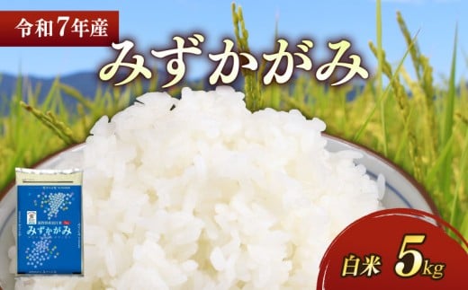 新米 令和7年 彦根産 みずかがみ 5kg お米 白米 精米 米 こめ コメ おこめ ご飯 ごはん おすすめ 送料無料 滋賀 彦根 ひこね 2261131 - 滋賀県彦根市