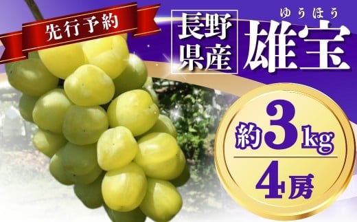 【2025年先行予約】ぶどう 雄宝(ゆうほう) 約3kg(4房)｜ 果物 フルーツ ぶどう 葡萄 ブドウ 種無し 種なし 皮ごと 千曲市 長野県 信州 2136406 - 長野県千曲市