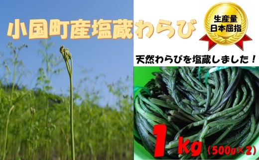 塩蔵わらび1kg(500✕2パック) 976271 - 山形県小国町