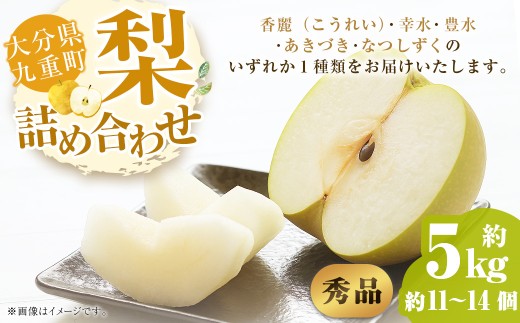 【秀品】 九重町産 梨 詰め合わせ 約5kg （約11個～14個） なし ナシ 香麗 こうれい 幸水 こうすい 豊水 ほうすい あきづき なつしずく 果物 くだもの フルーツ 【2025年8月上旬～9月下旬発送予定】 2175764 - 大分県九重町