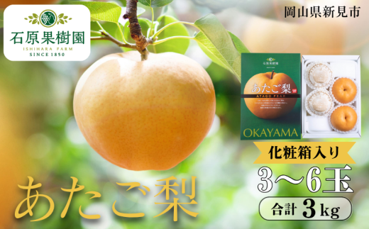 あたご梨 3~6玉 約3kg 化粧箱【先行予約 2025年11月中旬から順次発送】 2260780 - 岡山県新見市
