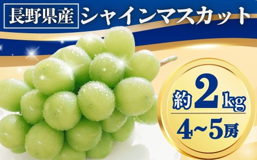 【2025年先行予約】シャインマスカット 約2kg(4~5房)｜ 果物 フルーツ 白ぶどう 葡萄 ブドウ 種無し 種なし 皮ごと 千曲市 長野県 信州