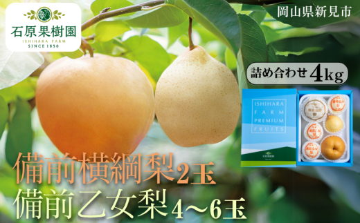 備前横綱梨（あたご梨）2玉（1玉約1～1.4kg） 備前乙女梨（ヤーリー (鴨梨)） 4～6玉 詰め合わせ 約4kg【先行予約 2025年11月中旬から順次発送】