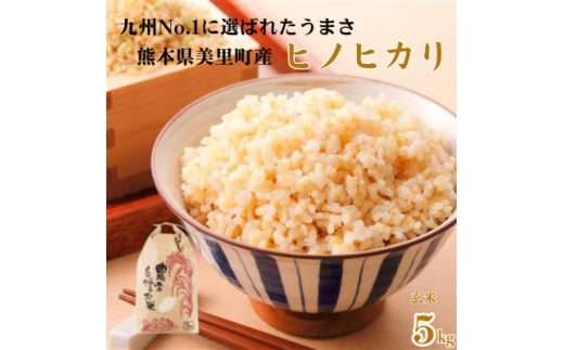 先行予約!令和7年産 新米 ヒノヒカリ 玄米 5kg×1袋 熊本県美里町＜本田農園＞【1647887】