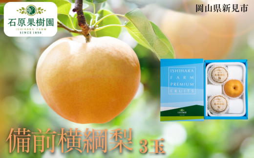 備前横綱梨 (あたご梨) 3玉 1玉約1～1.4kg 【先行予約 2025年11月中旬から順次発送】