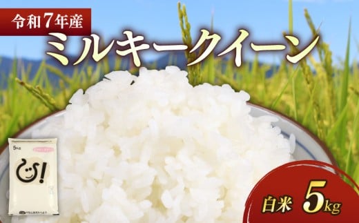新米 令和7年 彦根産 ミルキークィーン 5kg お米 白米 精米 米 こめ コメ おこめ ご飯 ごはん おすすめ 送料無料 滋賀 彦根 ひこね 2261133 - 滋賀県彦根市