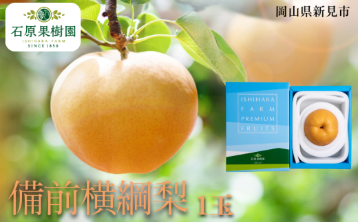 備前横綱梨 (あたご梨) 1玉 約1～1.4kg 【先行予約 2025年11月中旬から順次発送】