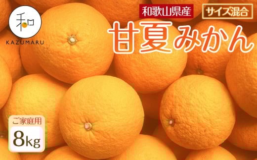 家庭用 森本農園の手選別 甘夏みかん 約8kg 和歌山県産 サイズ混合 ［北海道・沖縄・離島配送不可］［2026年4月上旬から順次発送］［RN71］ 2204067 - 和歌山県海南市