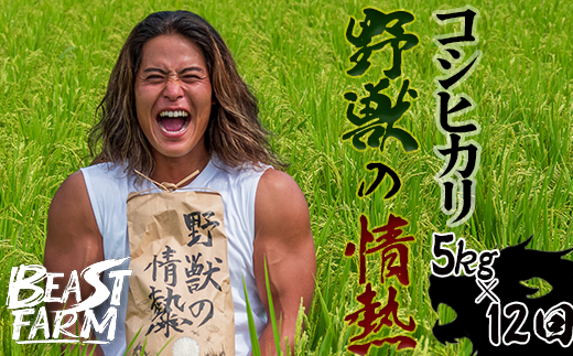 【令和7年産 新米早期予約】 コシヒカリ 5kg x 12回 8月下旬から発送 厳選 高知県産 新米 産地直送 米 お米 白米 精米 ごはん コシヒカリ ご飯 井上農園 高知県 須崎市 INN6000 2190681 - 高知県須崎市