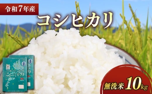 ★無洗米★ 新米 令和7年 彦根産 コシヒカリ 10kg(5kg×2袋)こしひかり 米 お米 白米 無洗米 こめ コメ おこめ ごはん おすすめ ご飯 送料無料 滋賀 彦根 ひこね 1480345 - 滋賀県彦根市
