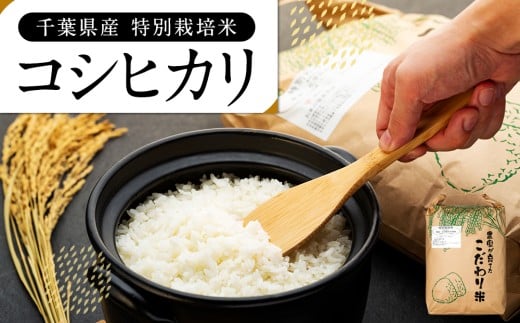 AB1-014 特別栽培米　コシヒカリ（白米）27kg