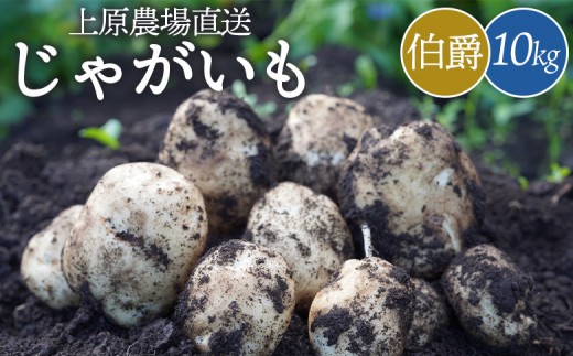 【先行予約】上原農場直送　じゃがいも（伯爵） 10kg【S～2Lサイズ混合】